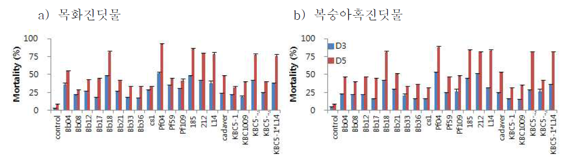 고체배양 포자현탁액에 의한 목화진딧물과 복숭아혹진딧물의 살충율