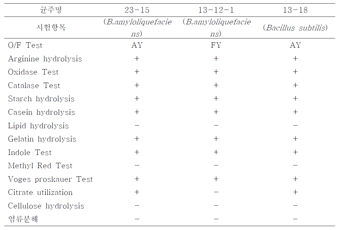 3차 선발한 균주 3종의 생화학적 특성 조사 결과