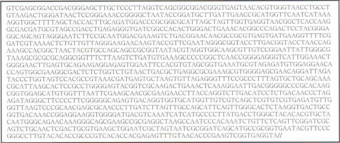 23-15 균주의 16S rRNA 유전자 전염기서열(1,393bp)의 분석결과