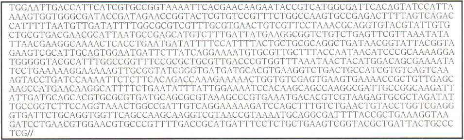 5-1 균주의 gyrB 유전자 전염기서열(1,035bp)의 분석결과