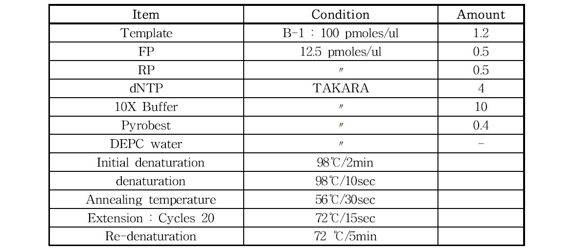 SELEX 및 counter-SELEX 과정에서의 PCR 세부 조건