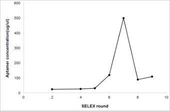 SELEX 반복 횟수에 따른 탐침자 후보군 염기서열의 농도 변화