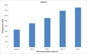 바이오탐침자의 SEB 검출 성능-SEB 농도 변화에 따른 형광신호 변화(탐침자 41번)
