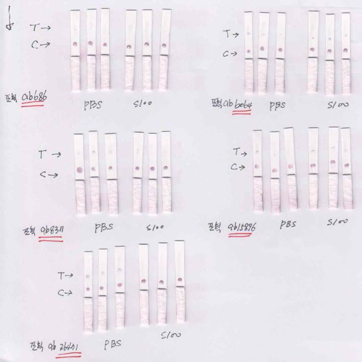 포획항체 변경을 통한 진단키트 성능향상 실험 결과