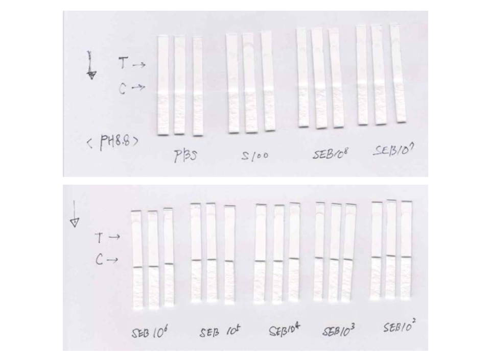 백금 나노입자를 표지물질로 이용한 진단키트 성능