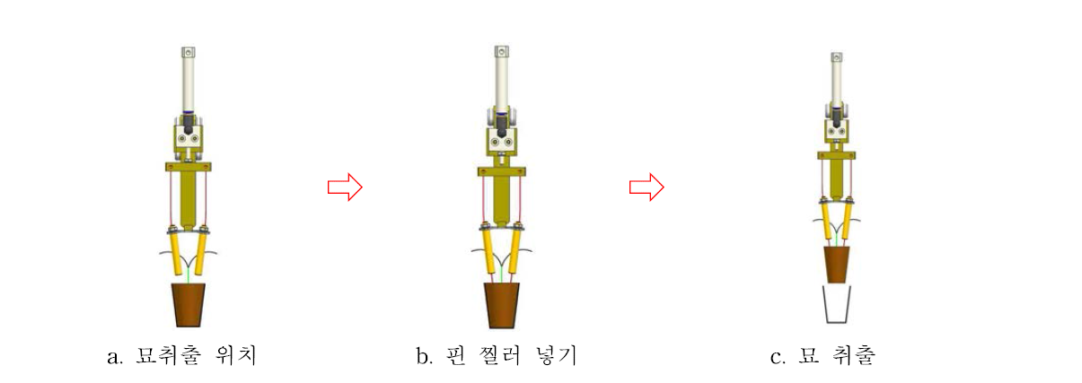 핑거타입 묘 취출 모식도