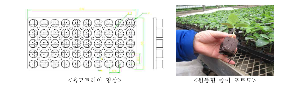 원통형종이포트 육묘트레이 및 묘