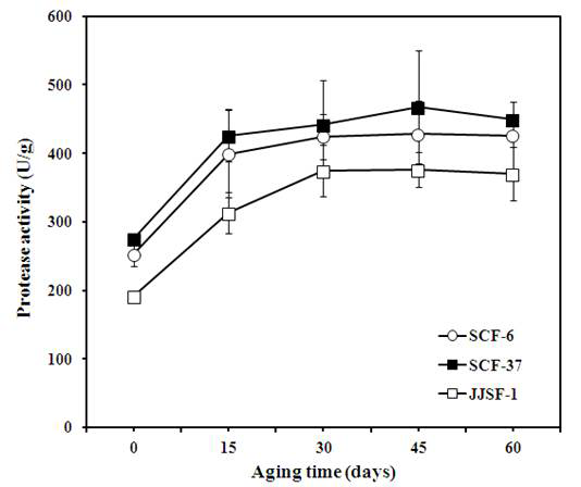 Changes in protease activity during the aging of doenjang at 30℃ for 60 days.