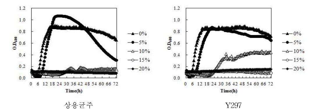 알코올 함량에 따른 Y297 효모의 생장곡선