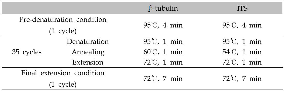 The PCR condition of β-tubulin & ITS genes