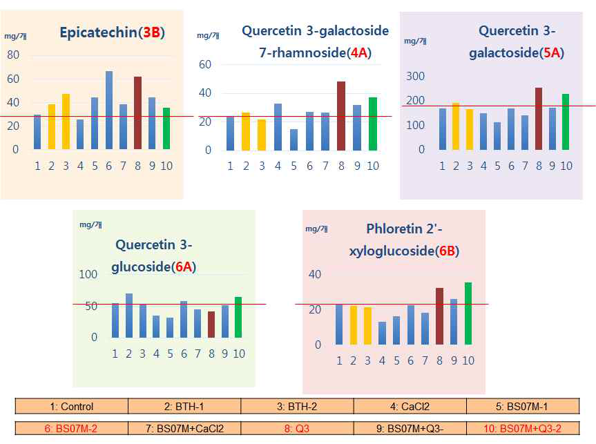 사과 무처리 대조군과 BS07 및 다이펩타이드 Q3 처리군에서의 폴리페놀 함량 그래프 (Q3 처리군에서 epicatechin (3B)과 quercetin (4A), quercetin (5A)의 함량이 대폭 증가함)