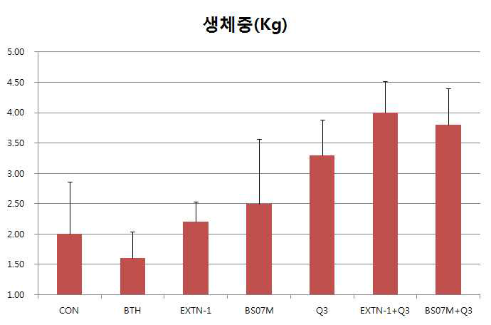 안반덕 고랭지포장 다이펩타이드 복합처리에 의한 배추 생체중 증가