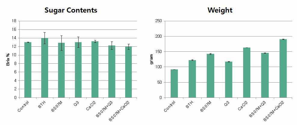 Dipeptide 및 BS07M 복합처리에 의한 수량증대 및 당 함량 미치는 영향