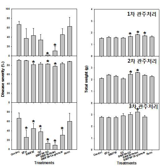 다이펩타이드 및 미생물 처리에 의한 배추 유묘 생육증가와 유도저항성 효과(강릉 안반덕)