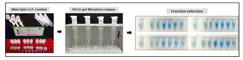 Gel filtration for purity of extracelluar proteins from wheat/green gram-based nuruk