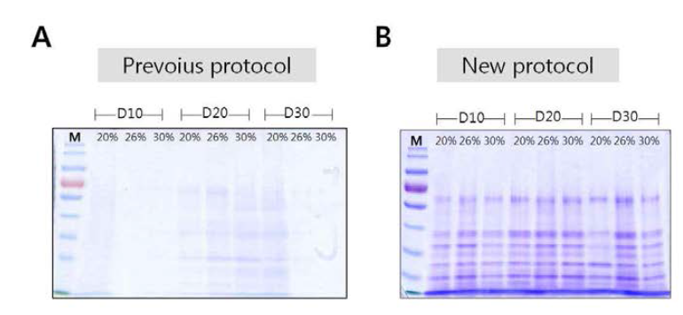 1D-PAGE of purified nuruk proteins