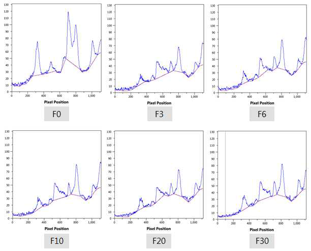 Dendrogram of each purified nurukF protein using Phoretix 1D program analysis