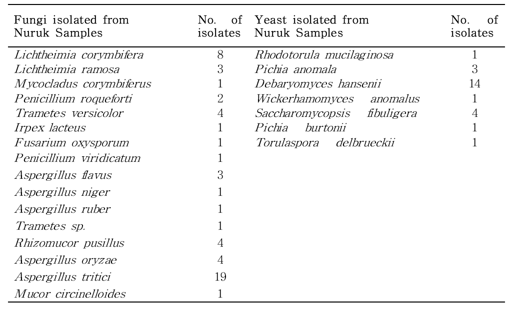 Predominant fungal and yeast isolates from traditional wheat nuruk