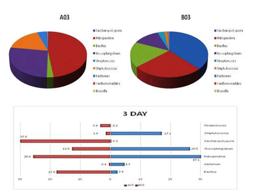 Comparision of bacterial communities present in nuruk A and B at day3 of nuruk fermentation