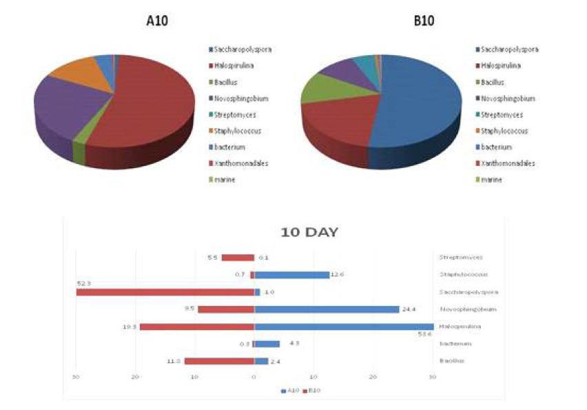 Comparision of bacterial communities at genus level present in nuruk A and B at day10 of nuruk fermentation