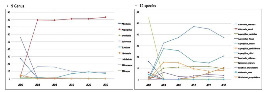 Distribution of genus and species in nuruk A at different time points of nuruk fermentation