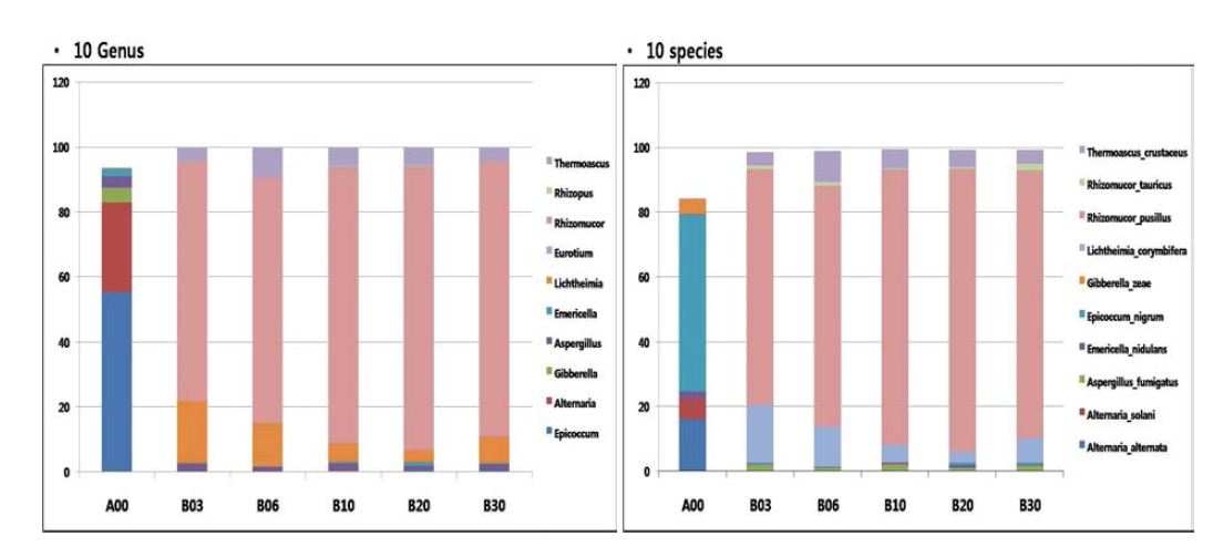 Community dynamics (in terms of genus and species) in nuruk B at different time points of nuruk fermentation