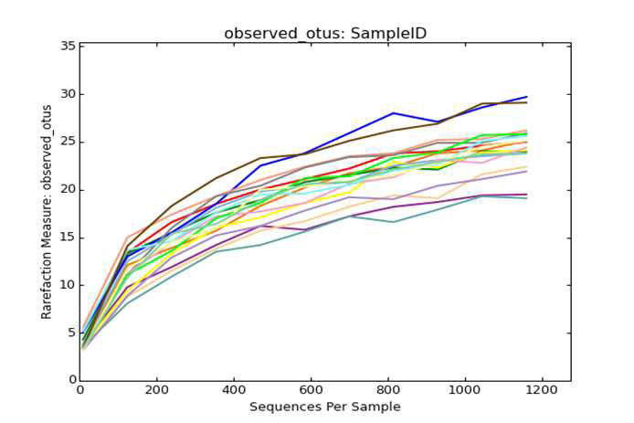 Rarefaction curves showing mycofloral species richness in nuruk C under different fermentation conditions