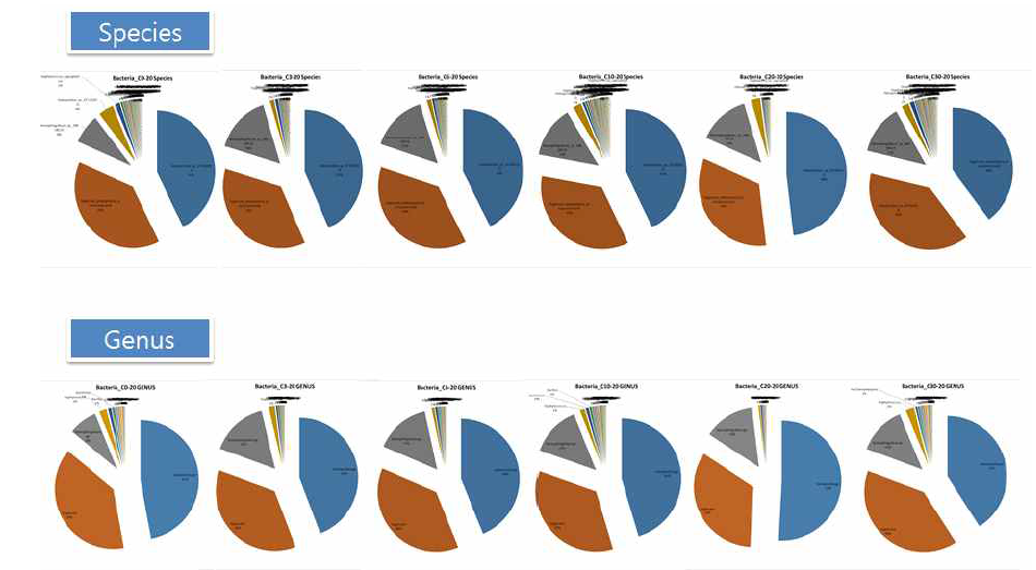 Bacterial community diversity (in terms of genus and species) in nuruk C consisting of 20% moisture content at different time-points of nuruk fermentation