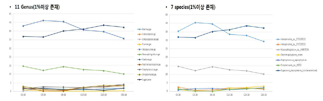 Distribution of major mycofloral communities at genus and species level in nuruk C consisting of 26% moisture content fermentation at different time points of nuruk fermentation