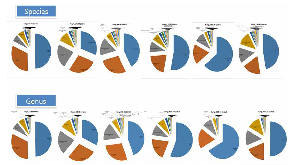 Mycofloral community diversity (in terms of genus and species) in nuruk C consisting of 30% moisture content at different time-points of nuruk fermentation