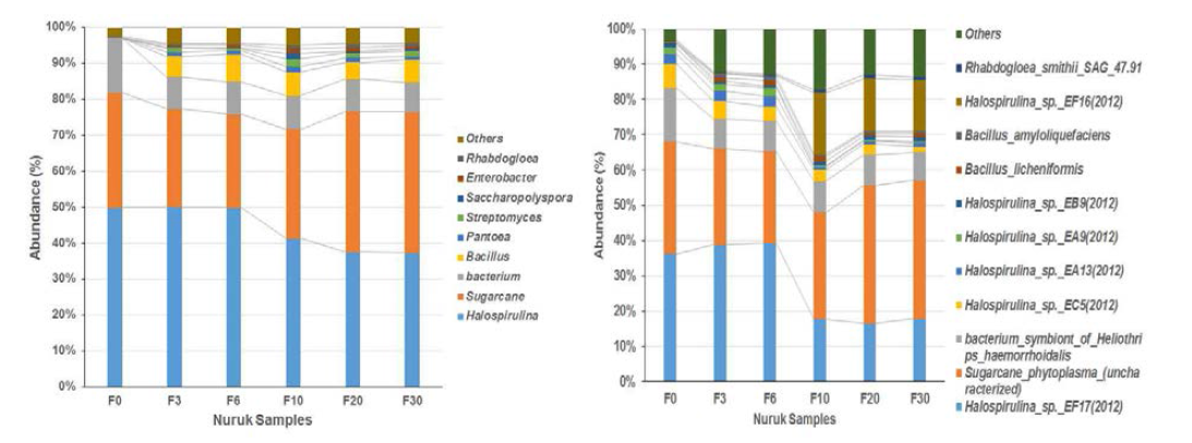 Bar graphs showing genus and species wise variations as determined from the 16S sequences derived from the metagenome of nuruk F on the 0, 3rd, 6th, 10th, 20th and 30th day of nuruk fermentation