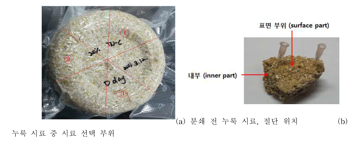 누룩시료의 분석 위치 선정