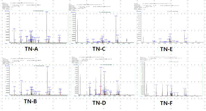 시료 TN-A~F의 전 부위 (whole mass, 발효 20일차)에 대한 GC/MS profiles