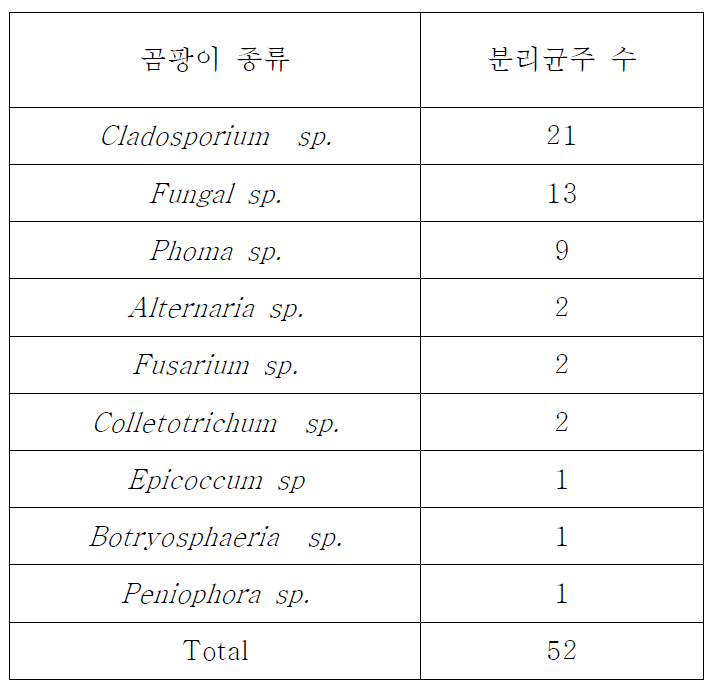 ITS 염기서열 분석에 따른 곰팡이의 종류