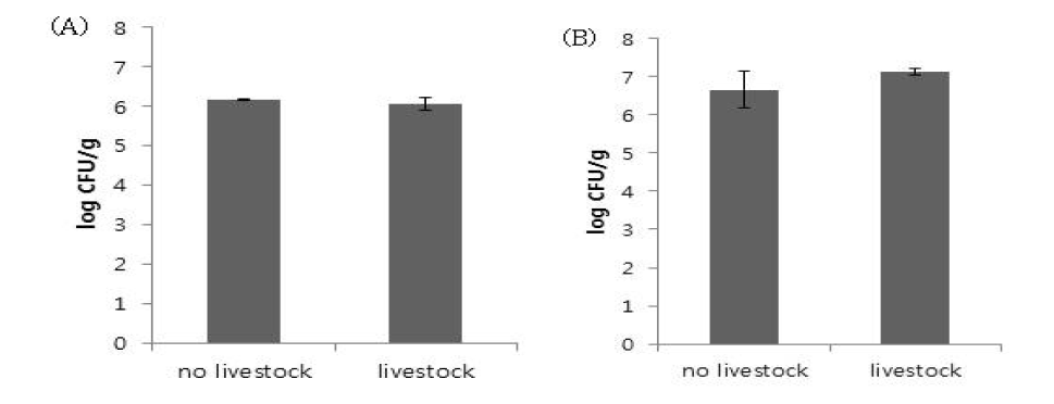 동물 출입 농장과 비출입 농장에서 토양(A)과 오디(B)의 일반세균수 비교