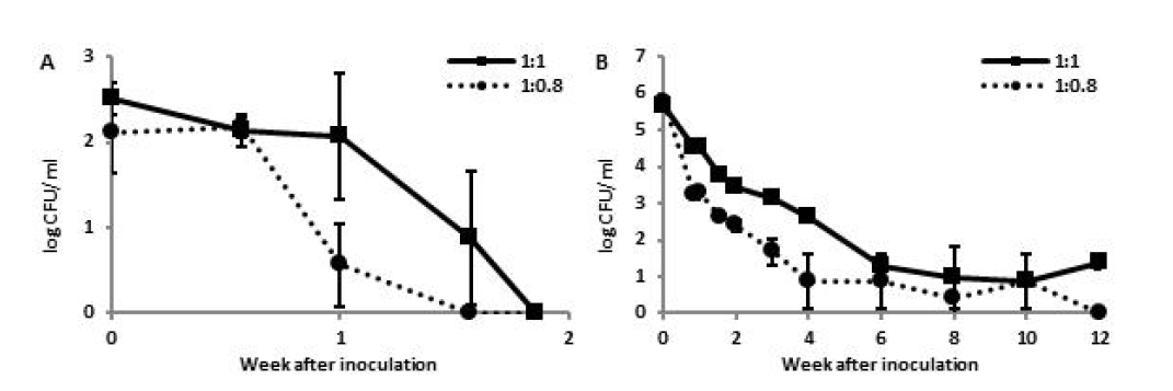 설탕과오디의비율에따른대장균비접종구에서대장균군(A)과일반세균수(B)의변화