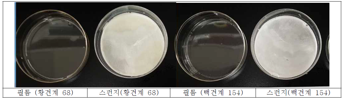 누에 계통별 재생 실크단백질 제조