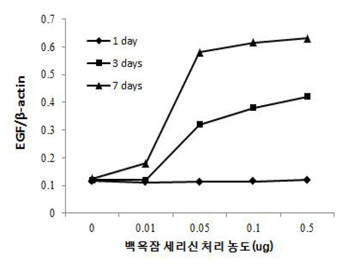 백옥잠 세리신 처리에 따른 EGF 발현량