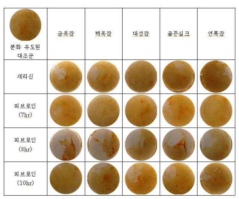 누에 산물의 줄기세포 분화유도물질 대체 효과