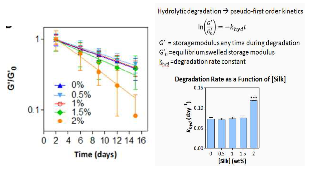 실크의 함량 증가에 따른 복합 하이드로겔의 가수분해 속도