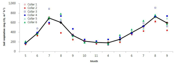 신갈나무 군락의 월간 토양호흡 변화 경향