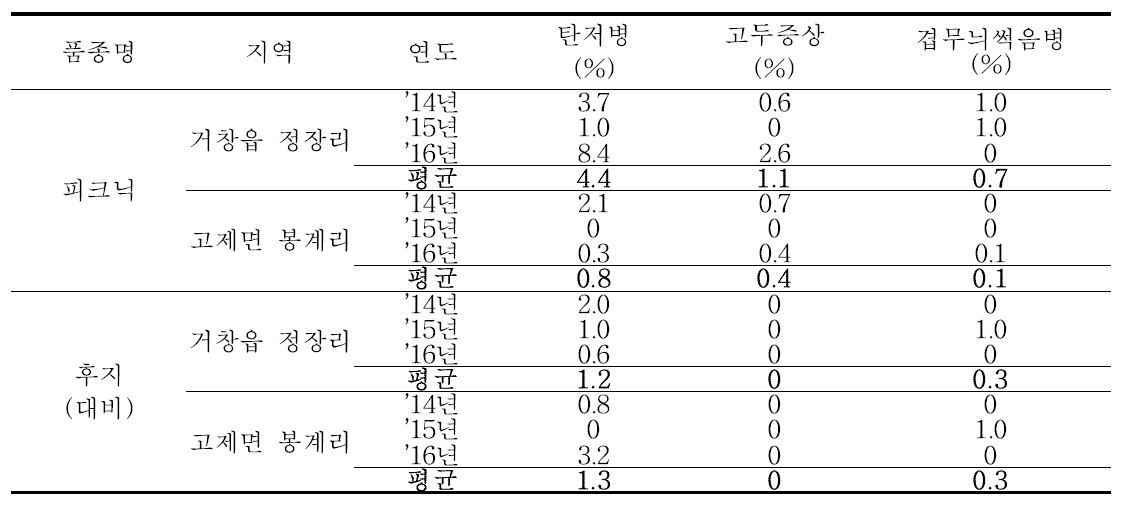 ‘피크닉’ 품종의 병 발생 정도