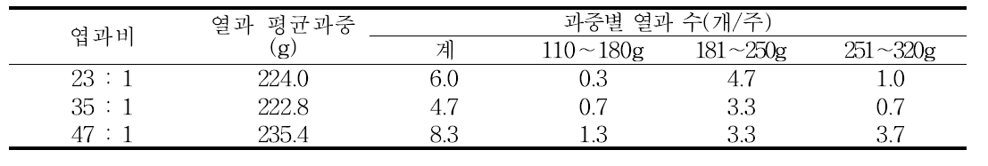 엽과비별 ‘피크닉’의 열과 평균 과중 및 과중별 열과 수