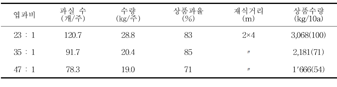 엽과비별 수량 특성