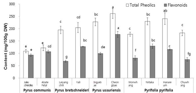 품종별 총 페놀 및 플라보노이드