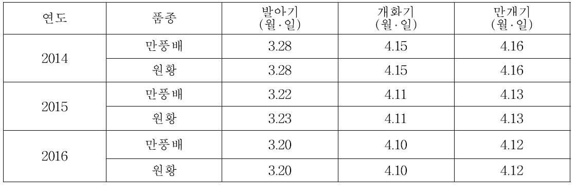 품종별 생육특성