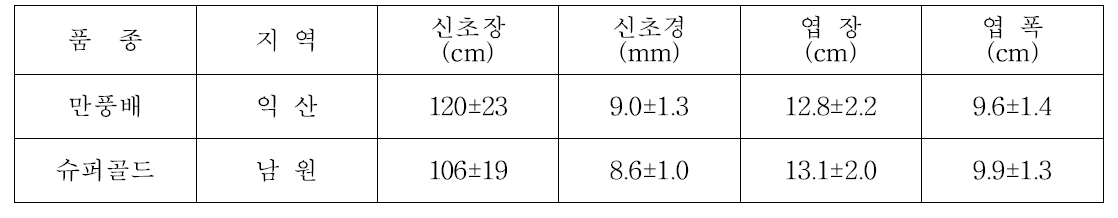 배 신육성 품종 모델과원 생육상황