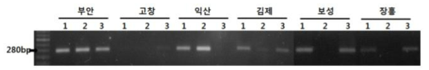 맥류 재배 토양으로부터 매개곰팡이 검출