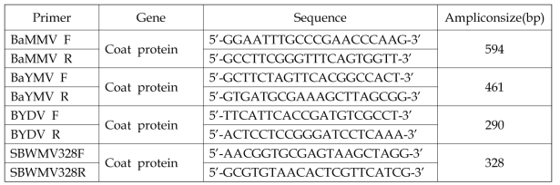 BaYMV, BaMMV, BYDV, SBWMV 진단에 사용한 primer