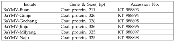 BaYMV 지역별 isolate 유전자 등록